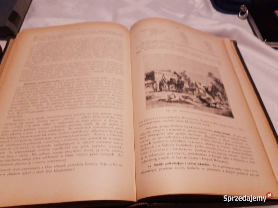 GEOGRAFJA POWSZ ILUSTR2 Schweiger W wa1897il k Iwno