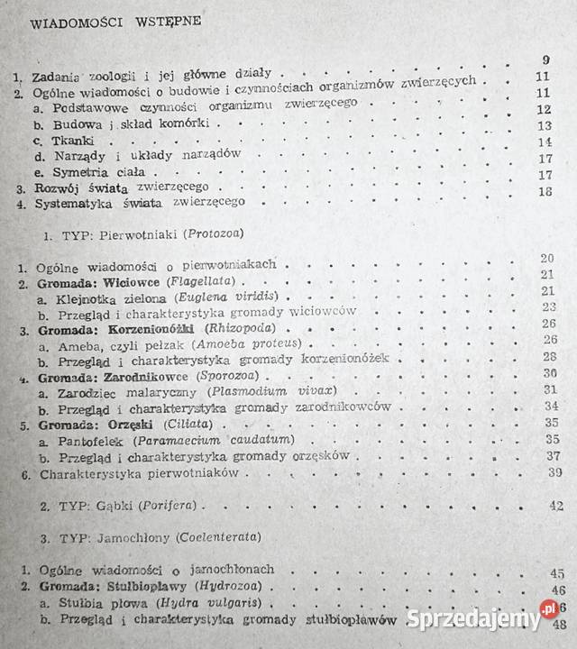 Zoologia J Dąbski Z Kozikowska J Wengris Chełm sprzedam