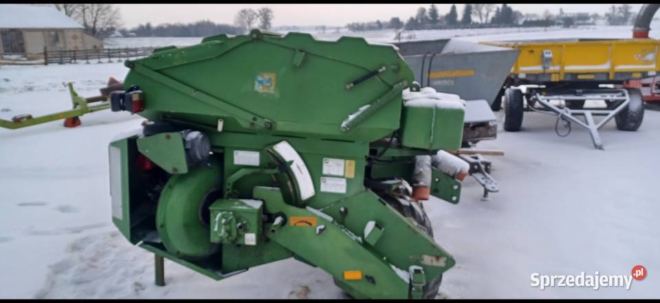 Amazone lubelskie Moniatycze