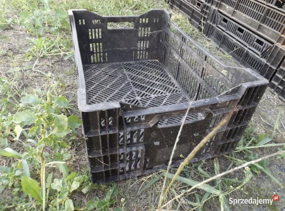 Skrzynka ogrodnicza Siedlce