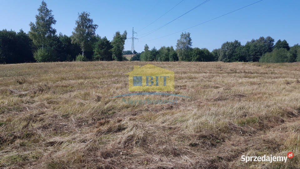 Działka 212 ha jeziorze Drawskim zachodniopomorskie Kluczewo sprzedam