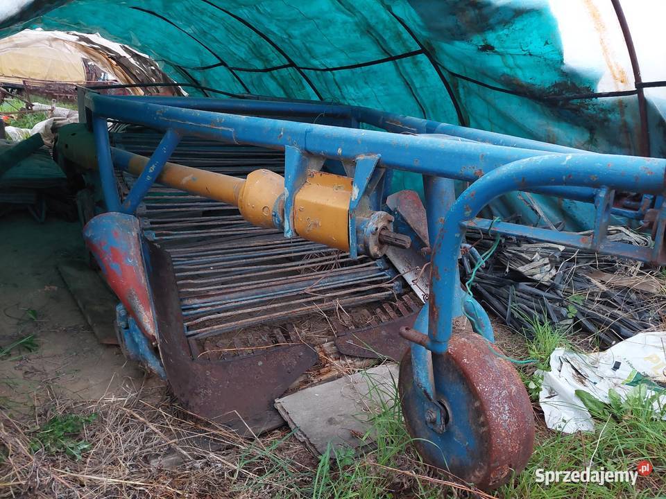 Kopaczka do ziemniaków elewatorowa dwurzędowa małopolskie Proszowice
