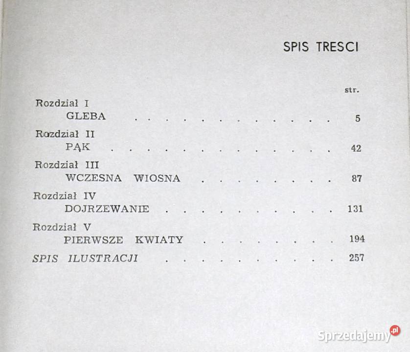 Stróż brata mego Stanislaus Joyce Chełm