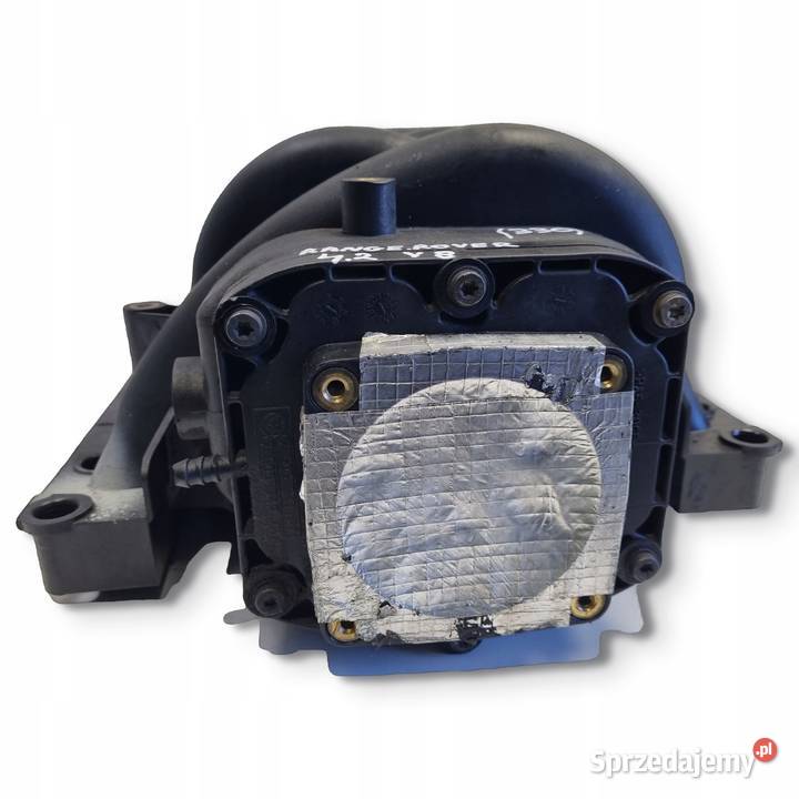 KOLEKTOR SSĄCY Range Rover III L322 44 V8 Chełm