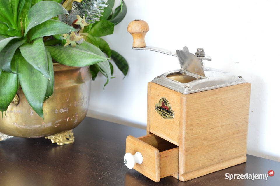 drewniany MŁYNEK do kawy stary Zassenhaus Antyki Jastrzębie-Zdrój