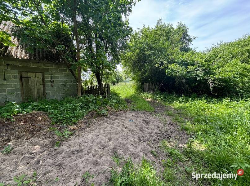 Ziemia rolna 481 ha z siedliskiem Stara Pecyna 1 sprzedam