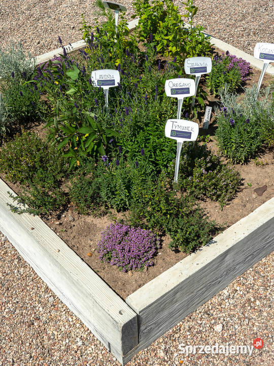 Trwały warzywnik ogrodowy skrzynie na warzywa podkarpackie Górno