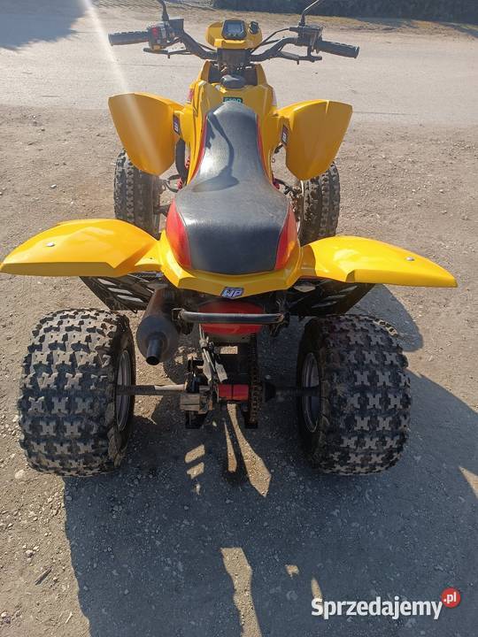 Quad Dinli 300 Masai