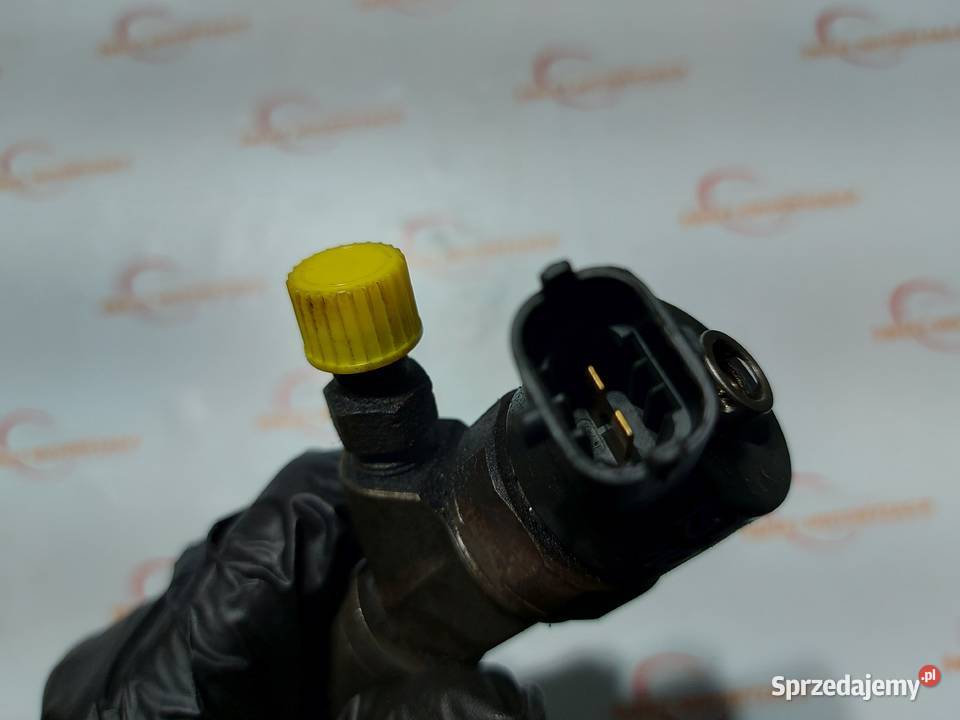 LAND ROVER FREELANDER 20 TD4 0445110130 osobowe świętokrzyskie Kielce