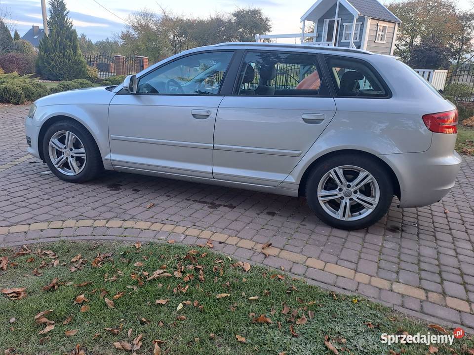 Audi a3 8p 20tdi lift 2000cm3 Niedrzwica Duża sprzedam