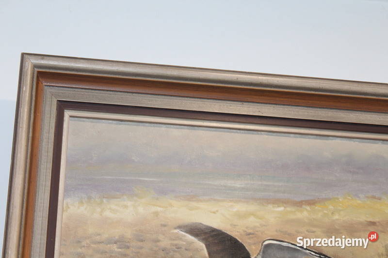 Obraz Mewa GAdon 297 FiaF Szczecin