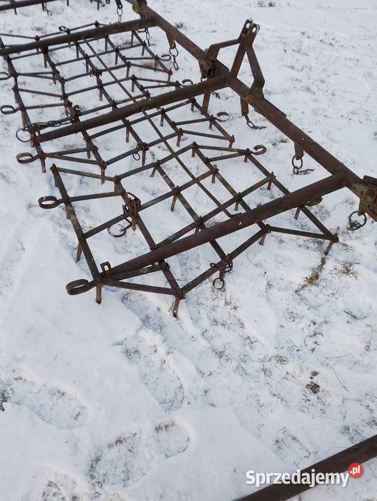 Brony 3 polowe Grudziądz nieuszkodzony Brony Miedźno