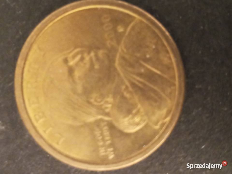 Moneta ONE DOLLAR 2000rUsa Szczecinek