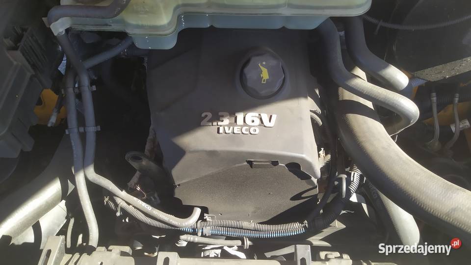 Sprzedam samochód dostawczy Iveco wielkopolskie Gizałki