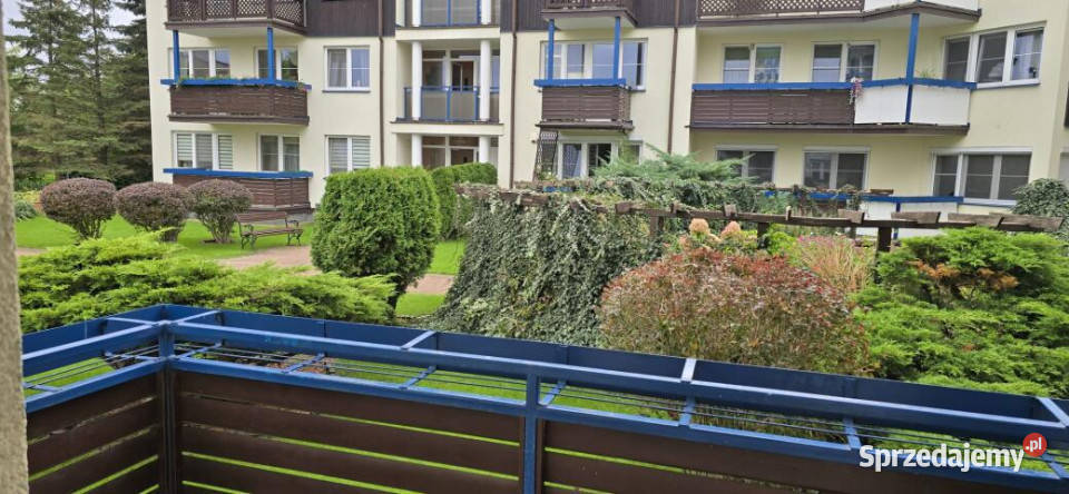 sprzedaży mieszkania Ciechocinek Sosnowa 43m2 2