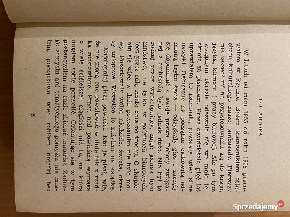 Tadeusz Breza Spiżowa brama Katowice