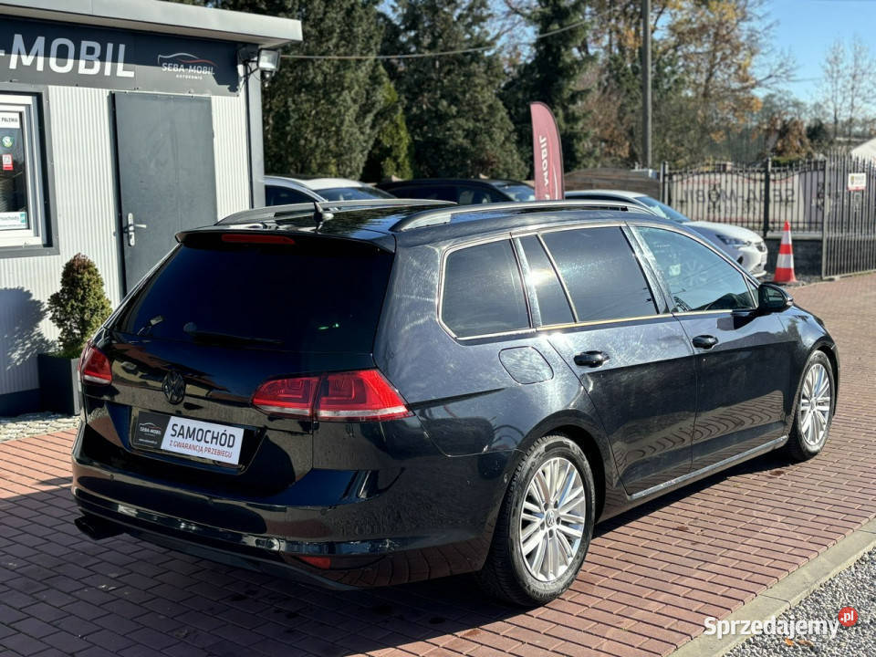 Volkswagen Golf Gwarancja Navi Bluetooth Ksenon Golf