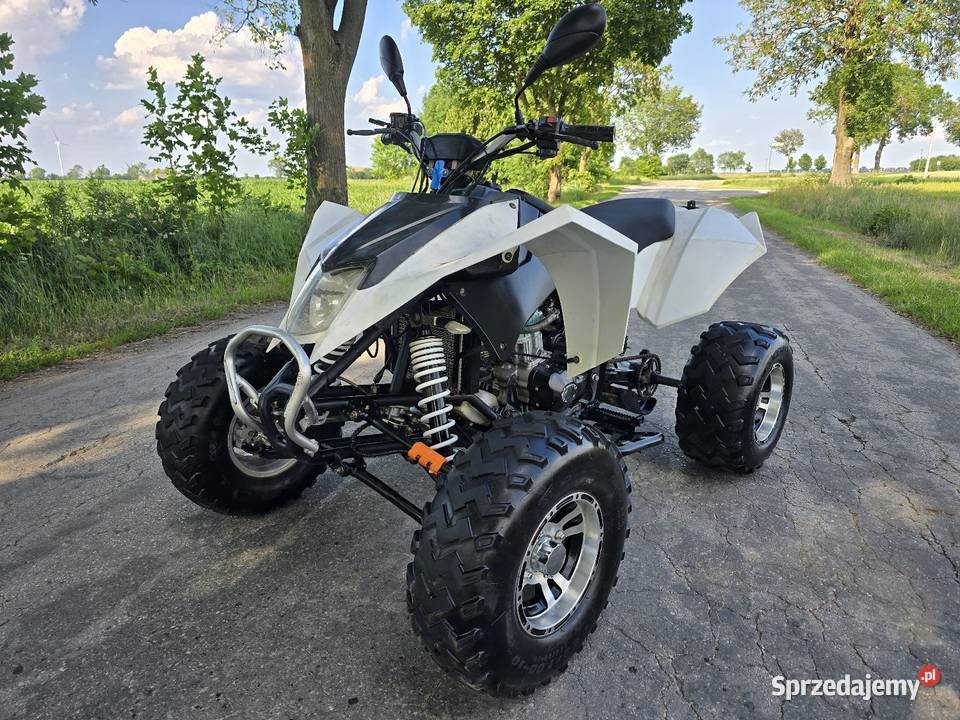 Quad Shineray Egl Bashan 250cc Ciecz Duża rama Kruszwica