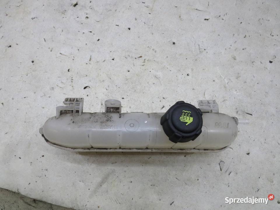 ZBIORNICZEK WYRÓWNAWCZY RENAULT ZOE lubelskie