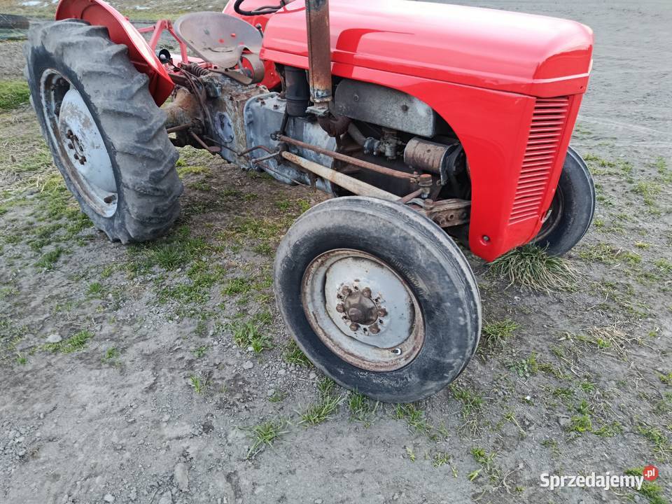 Ferguson tea 20 Ferguson wielkopolskie Kalisz