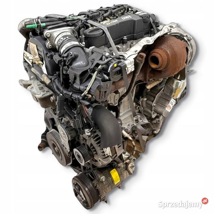 SILNIK G8DB Ford Focus II MK2 C 16 TDCI 109 Chełm