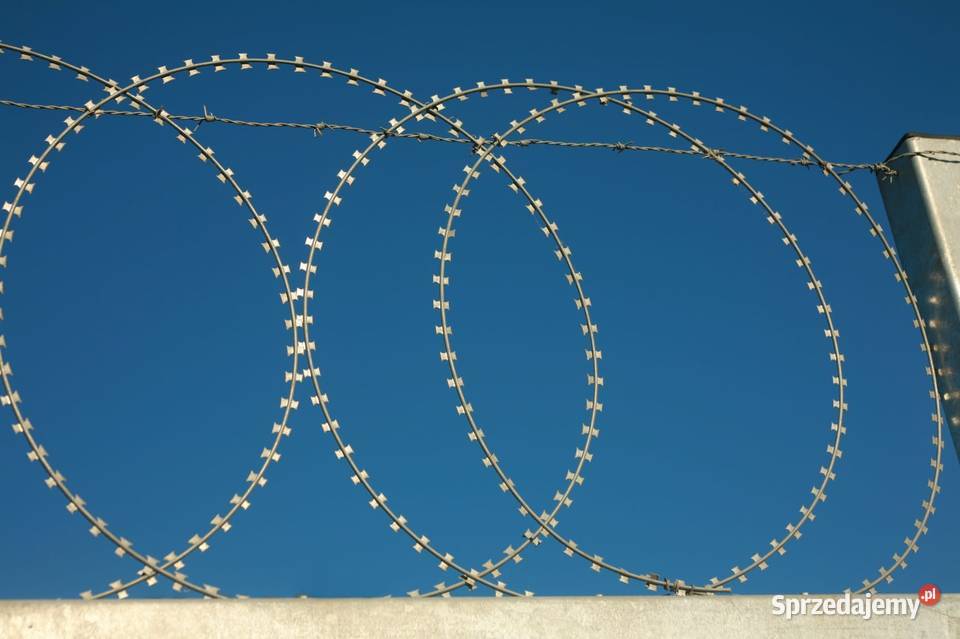 Zasieki płaskie z drutu ostrzowego 700 mm Pozostałe Szczecin