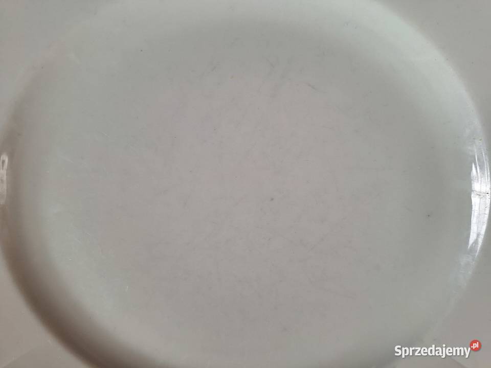 Rosenthal Biała Maria talerz obiadowy płytki 245 pomorskie sprzedam
