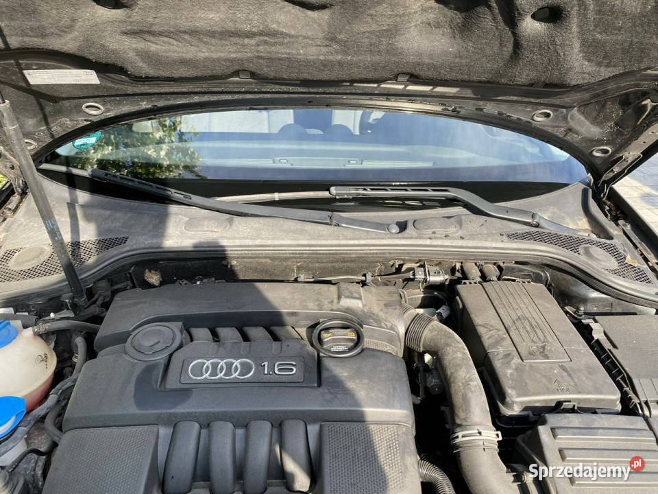 Audi A3 16 MPi zadbana oryginalny przebieg 8P garażowany Poznań