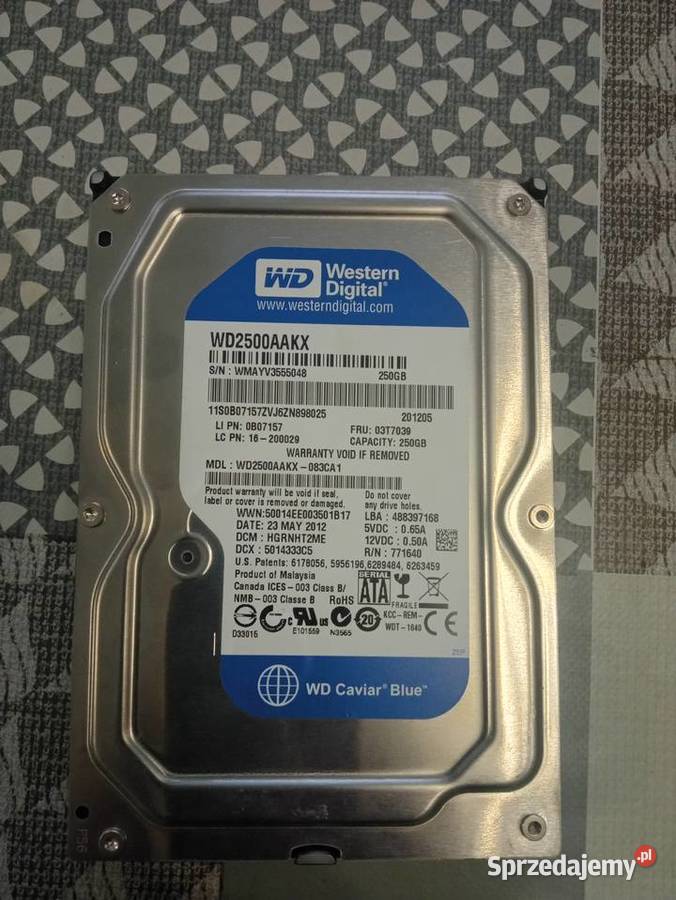 Dysk WD 250 gb Myślenice