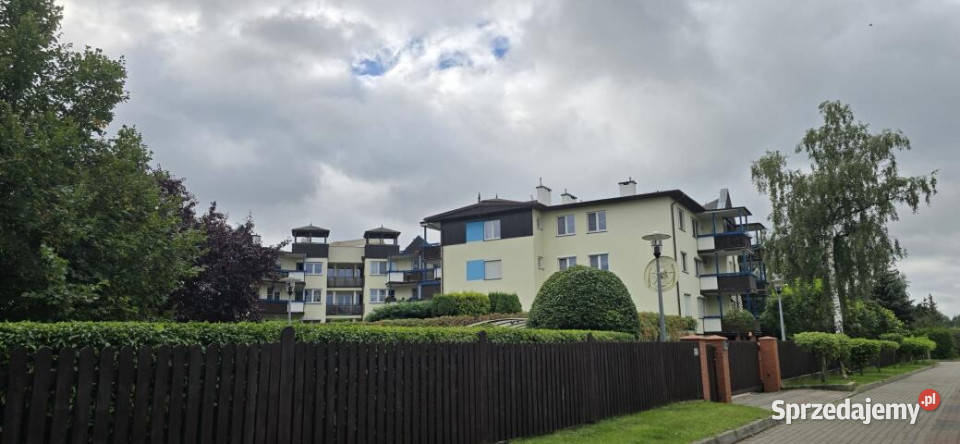 sprzedaży mieszkania Ciechocinek Sosnowa 43m2 2 sprzedam