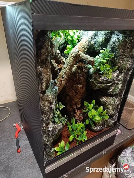 Terrarium 35x35x55 gekona z wyposażeniem Ostrów Wielkopolski