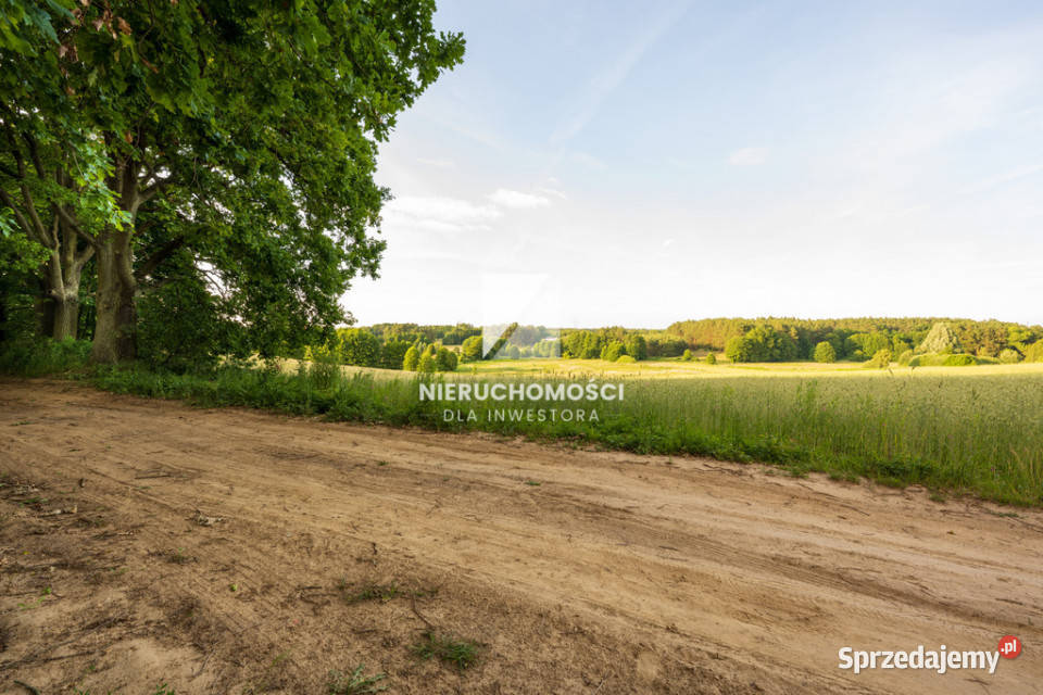Kameralne działki budowlane w Kłodawie 1725 ar Kłodawa