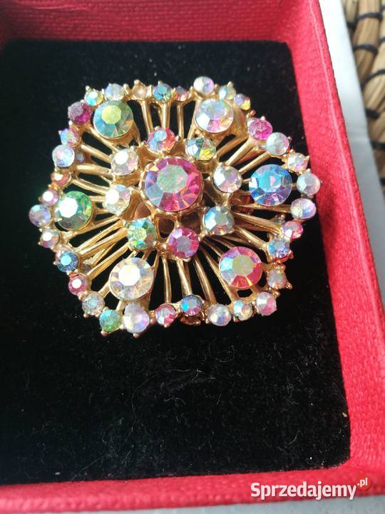 Kolorowa broszka jabloneks Pozostałe Choszczno