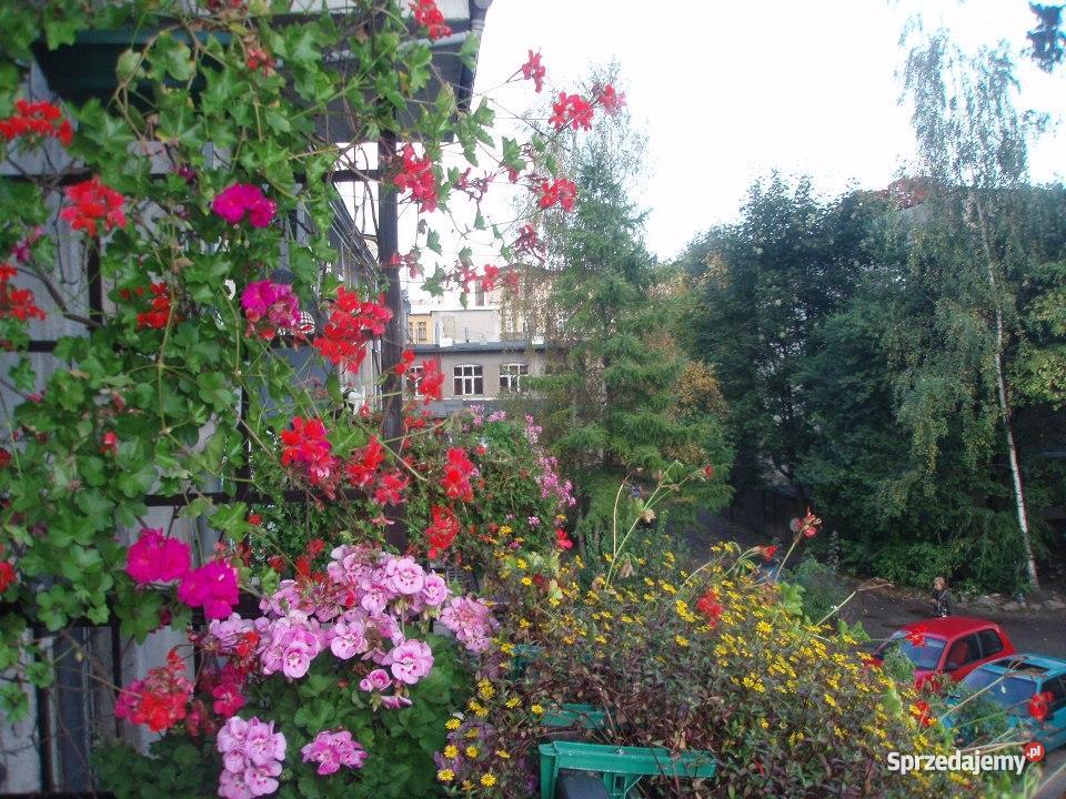 mieszkanie Jelenia Góra pośredników balkon Jelenia Góra