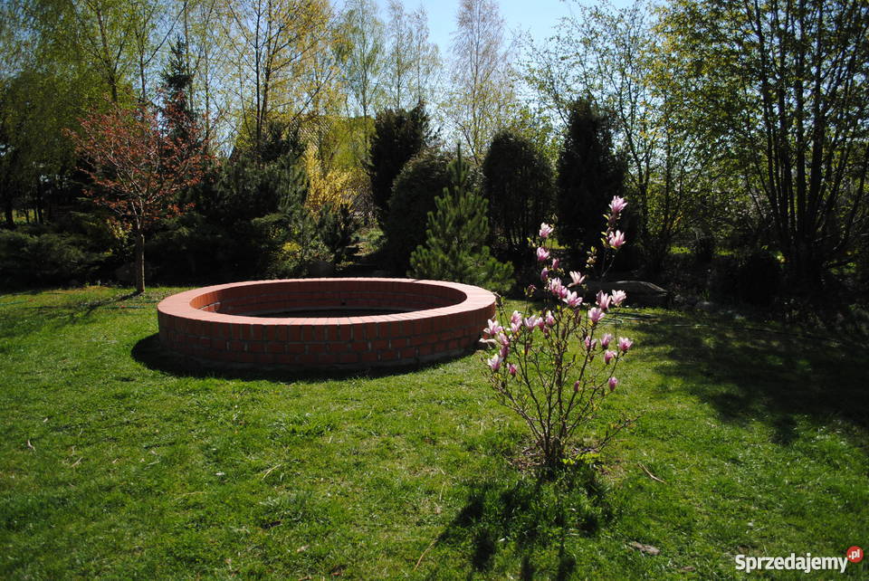 dom z dużym ogrodem Janikowo