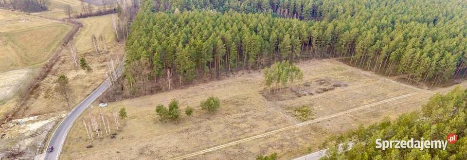 DZIAŁKA BUDOWLANA 1000 m ASFALT LAS SPOKOJNA mazowieckie