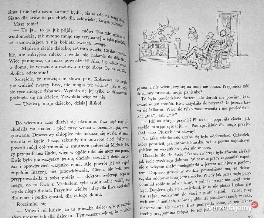 Deszcz zając i chłopiec Zofia Woźnicka Chełm