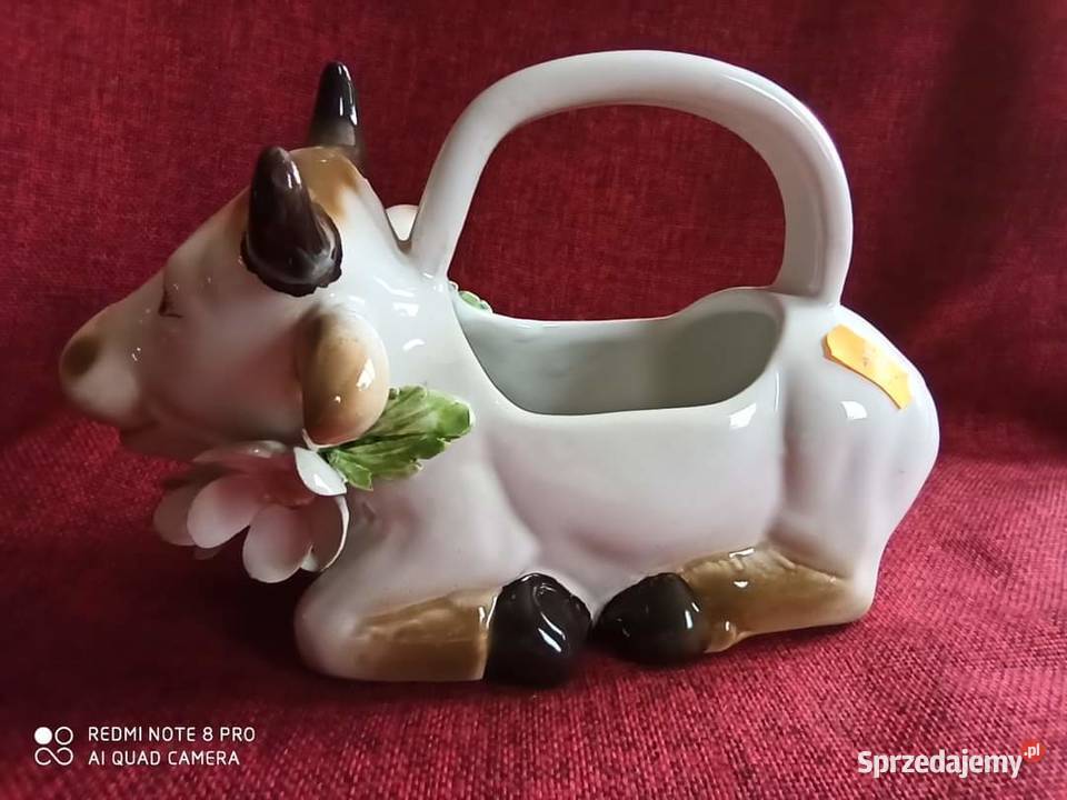 Mlecznik krowa Made in Italy
Z kwiatkami Zabawne Gdańsk sprzedam