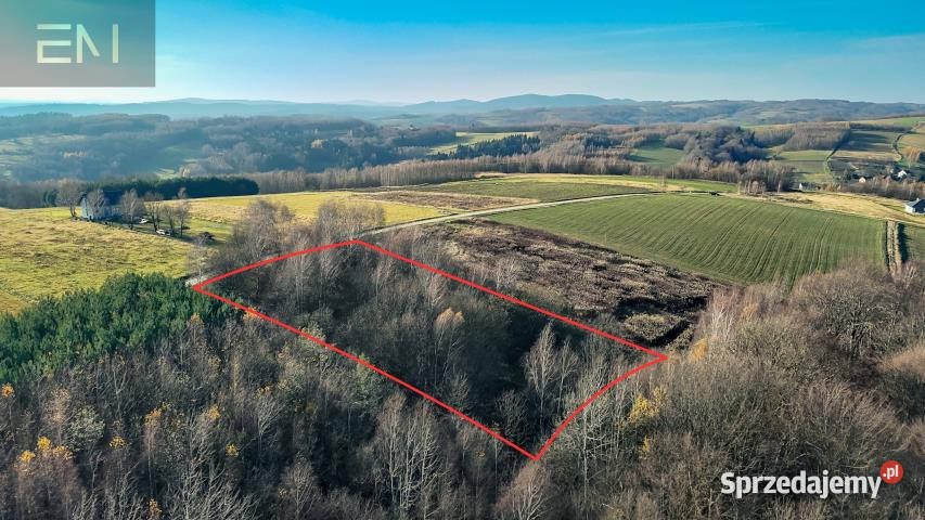 sprzedaży gruntu Niewodna 4500m2 rekreacyjna