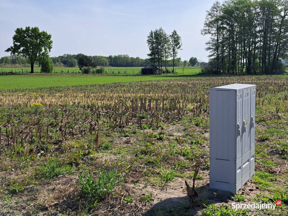 Działki w Jagoszycach niedaleko Prusic sprzedam