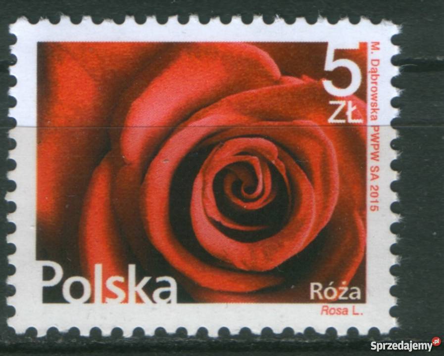 Zn Fi 4639 2015 Gliwice