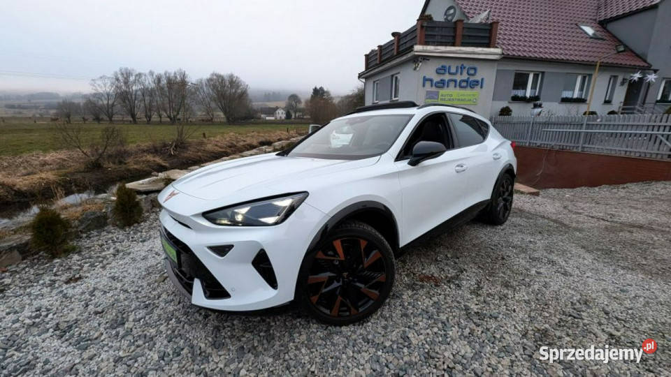 Cupra Formentor Cupra Formentor 20 TSI VZ 333