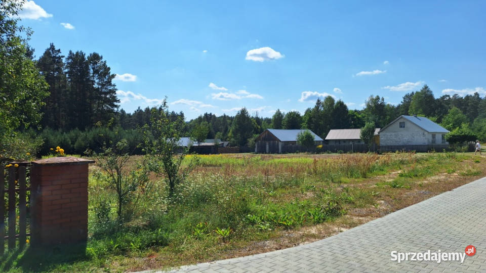 działka 1000m Roztocze Trzepieciny Krasnobród utwardzona