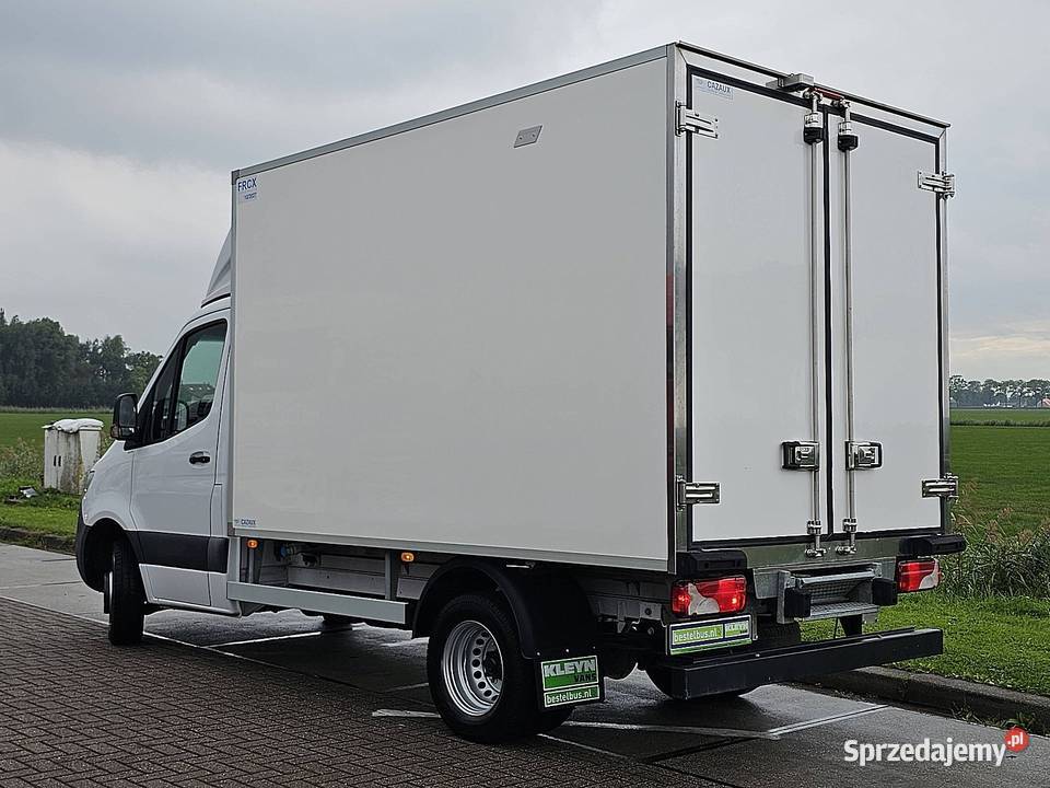 MercedesBenz SPRINTER 516 CDI 37 DL FRIGO