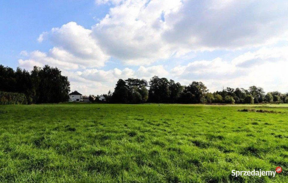 Cholerzyn działki budowlane 165 ara 0m Sprzedaż