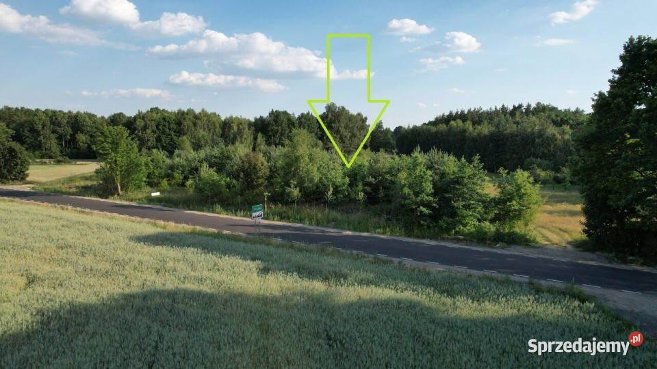 Sprzedam grunt Pałki 8116m2 budowlana
