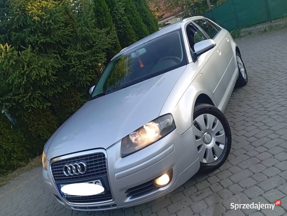 ŁADNA AUDI A3 20 TDI 5 DRZWI SPRAWNA ZAREJESTR 351000km Gostynin