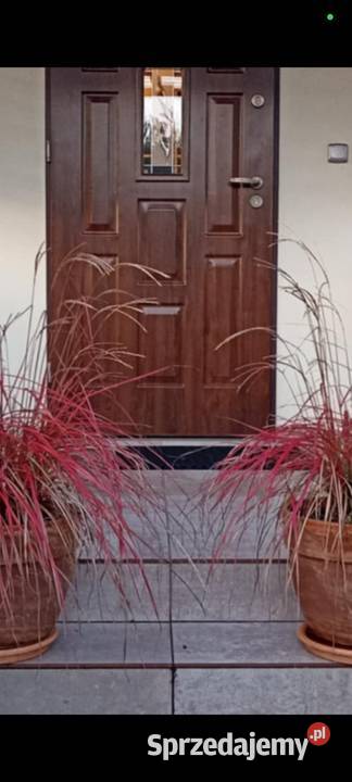 Drzwi zewnętrzne Zawiercie sprzedam