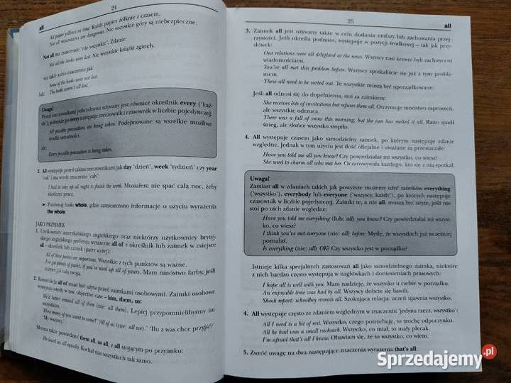 Gramatyka angielska A do Z Philip Wilson Rok wydania 2010 Kraków sprzedam