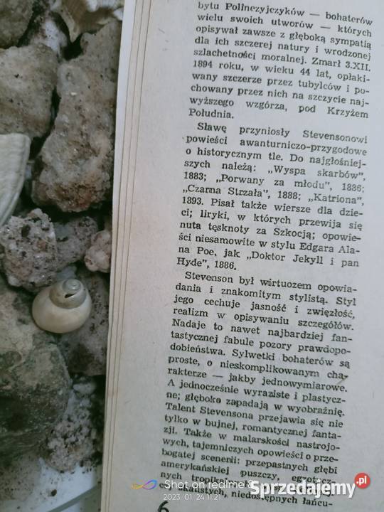 Stevenson Porwany młodu księgarnia antykwariat sprzedam